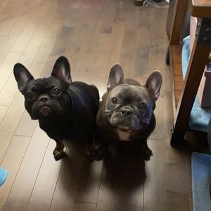 Meet your Posher, Christine